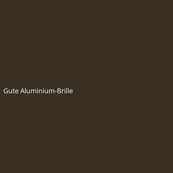 Gute Aluminium-Brille